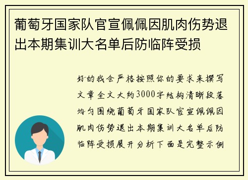 葡萄牙国家队官宣佩佩因肌肉伤势退出本期集训大名单后防临阵受损